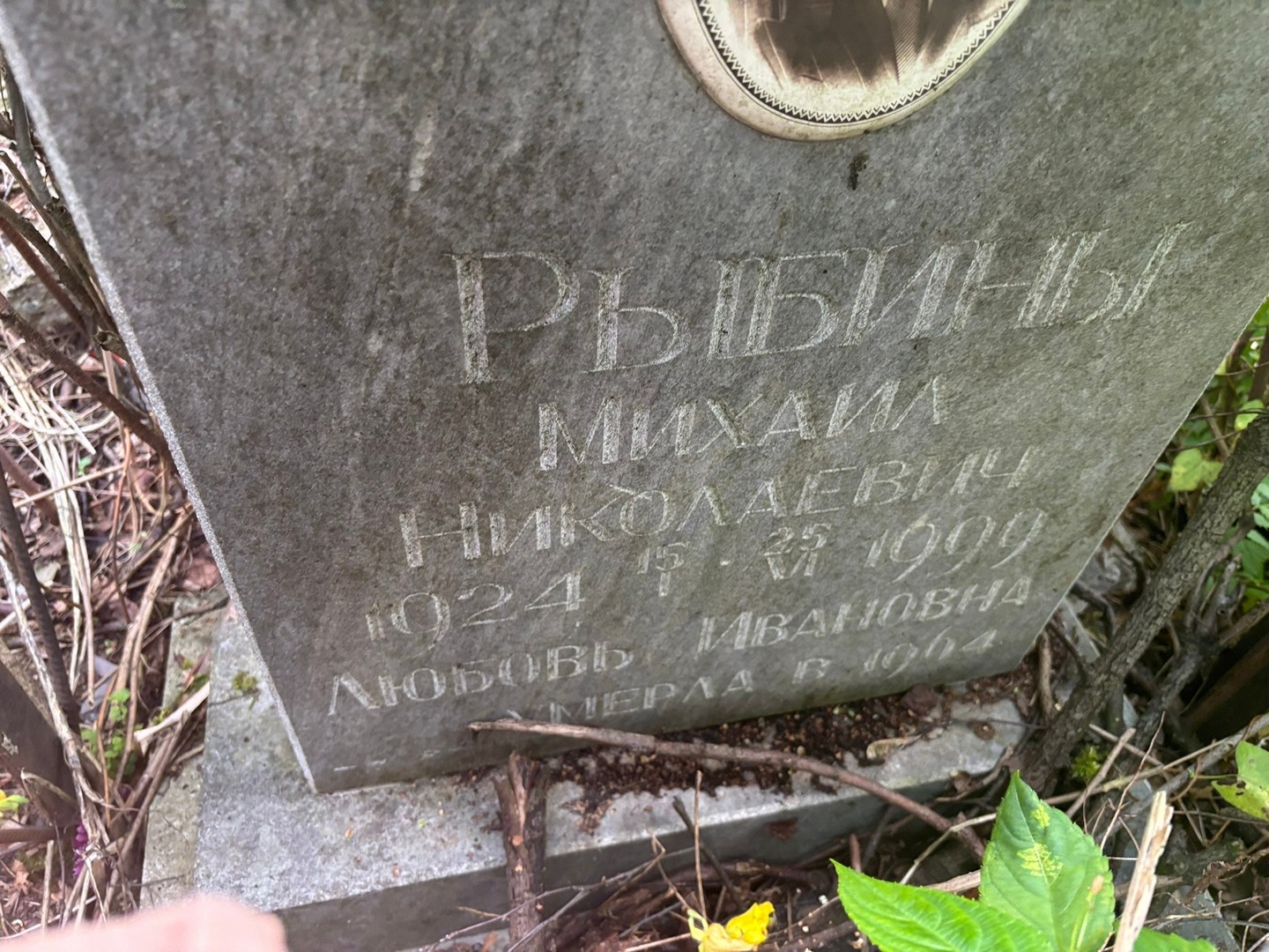 Рыбин