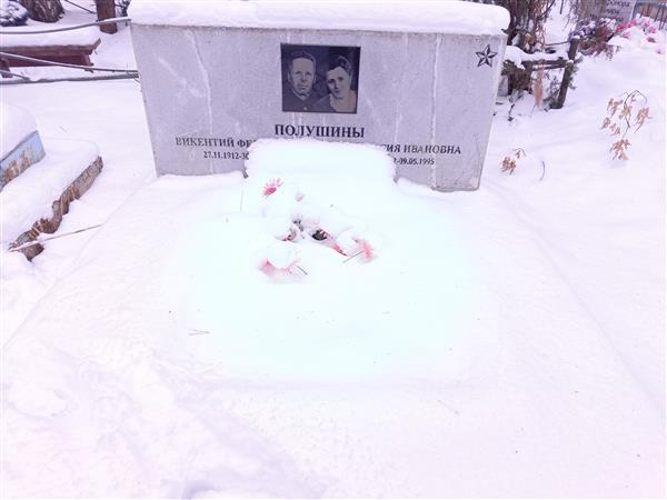 Полушин Викентий Федорович