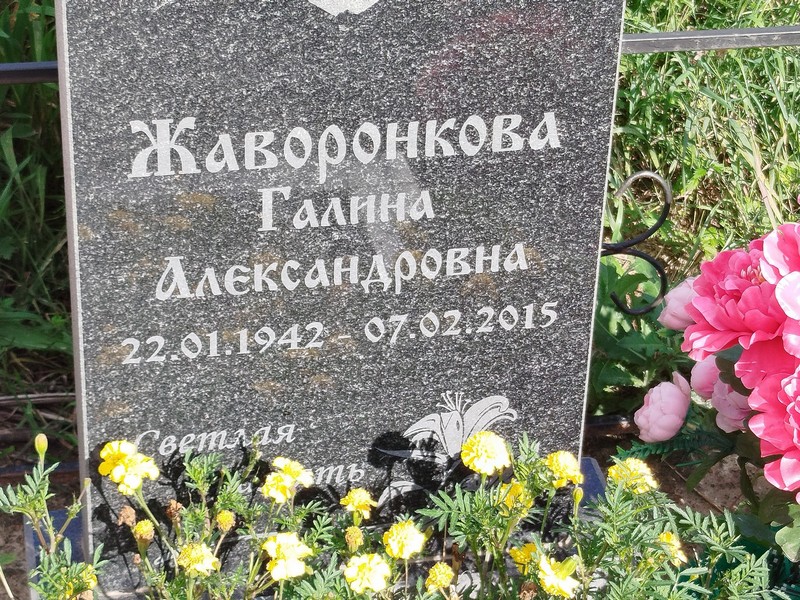 Жаворонкова
