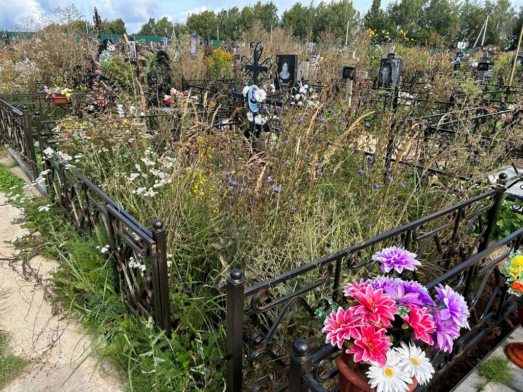Зябрикова Светлана Анатольевна