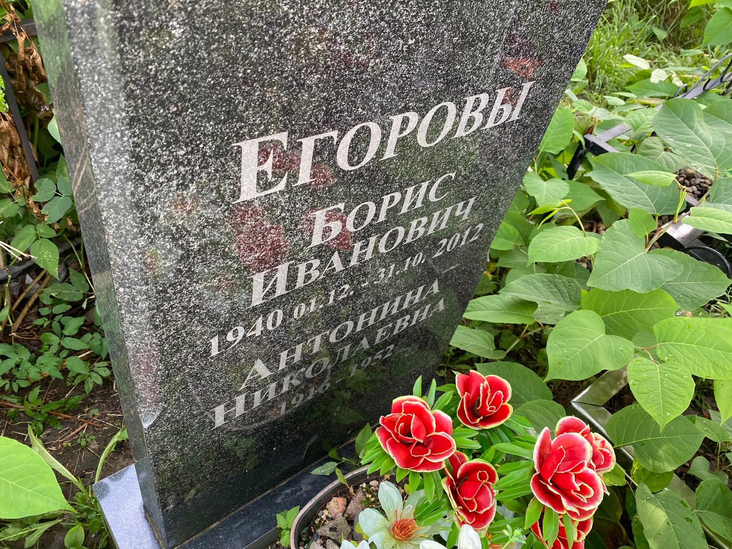 Егоров