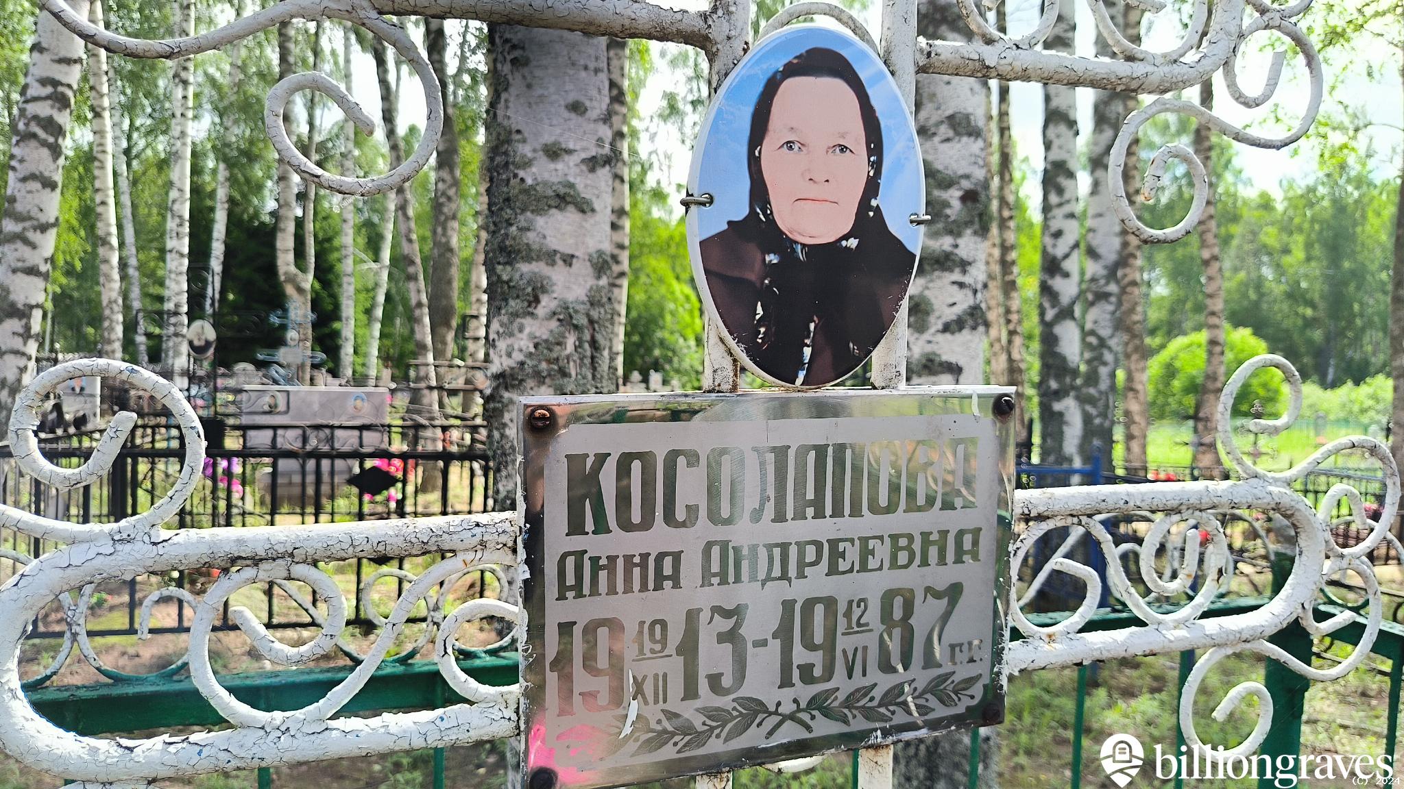 Косолапова Анна Андреевна