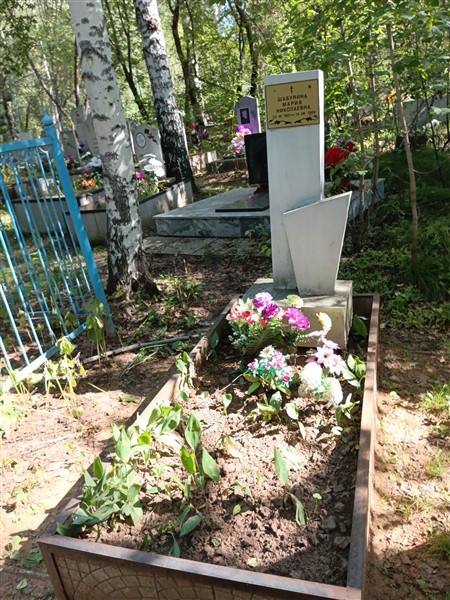 Шабунина Мария Николаевна