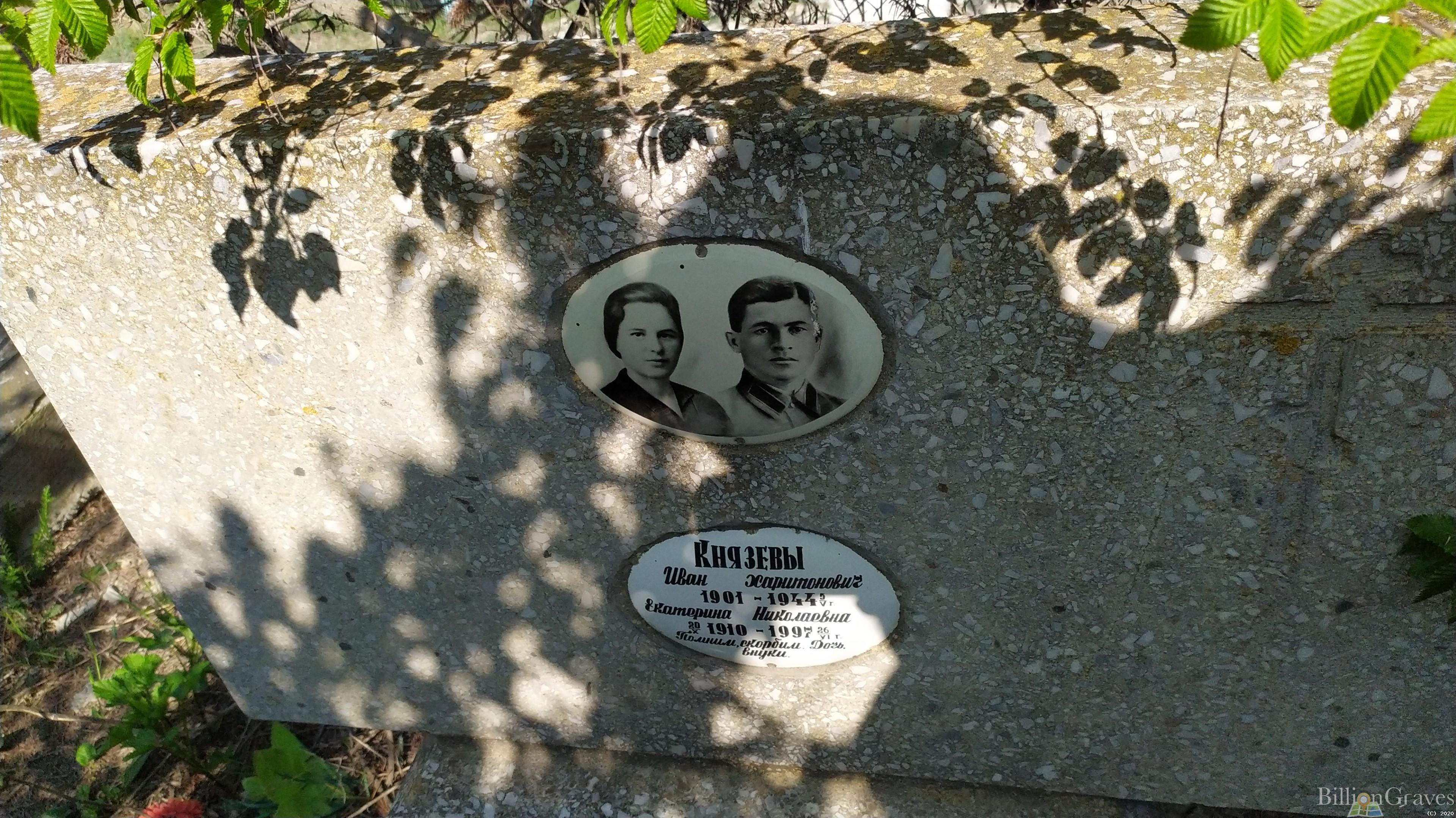 Князева Екатерина Николаевна