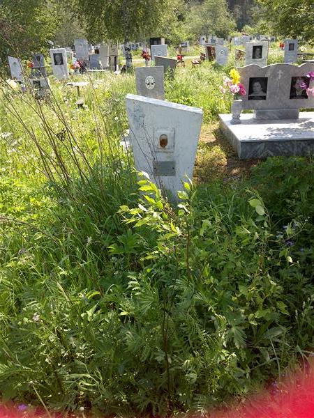 Майорова Агапия Ивановна