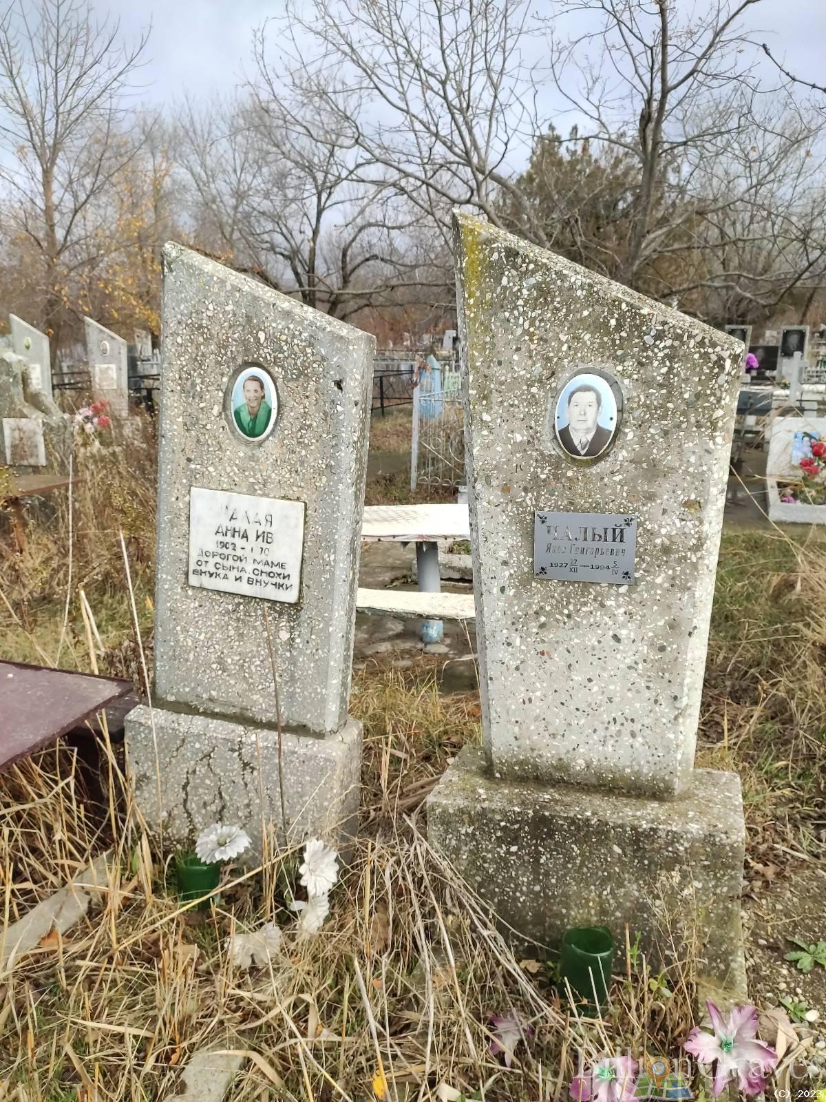 Чалый Яков Григорьевич