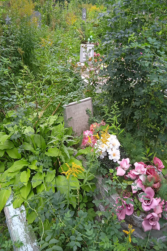 Николаев Василий Николаевич
