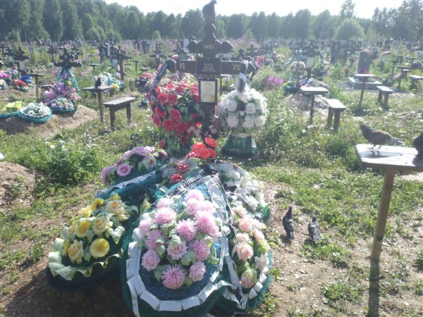 Каткова Наталья Петровна