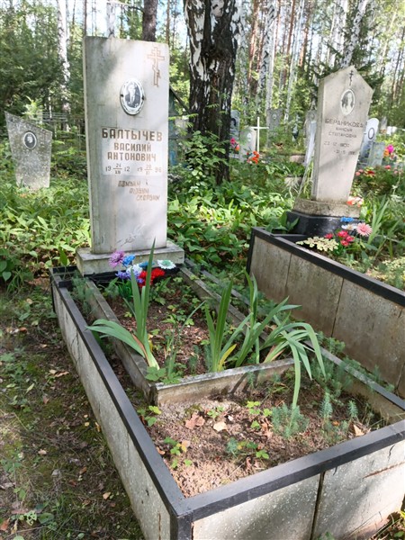 Балтычев Василий Антонович