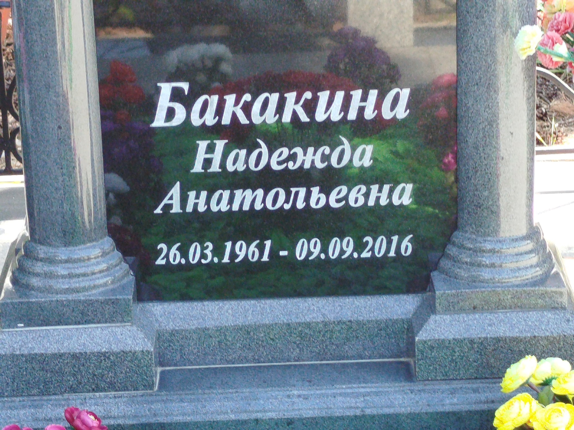 Бакакина Надежда Анатольевна