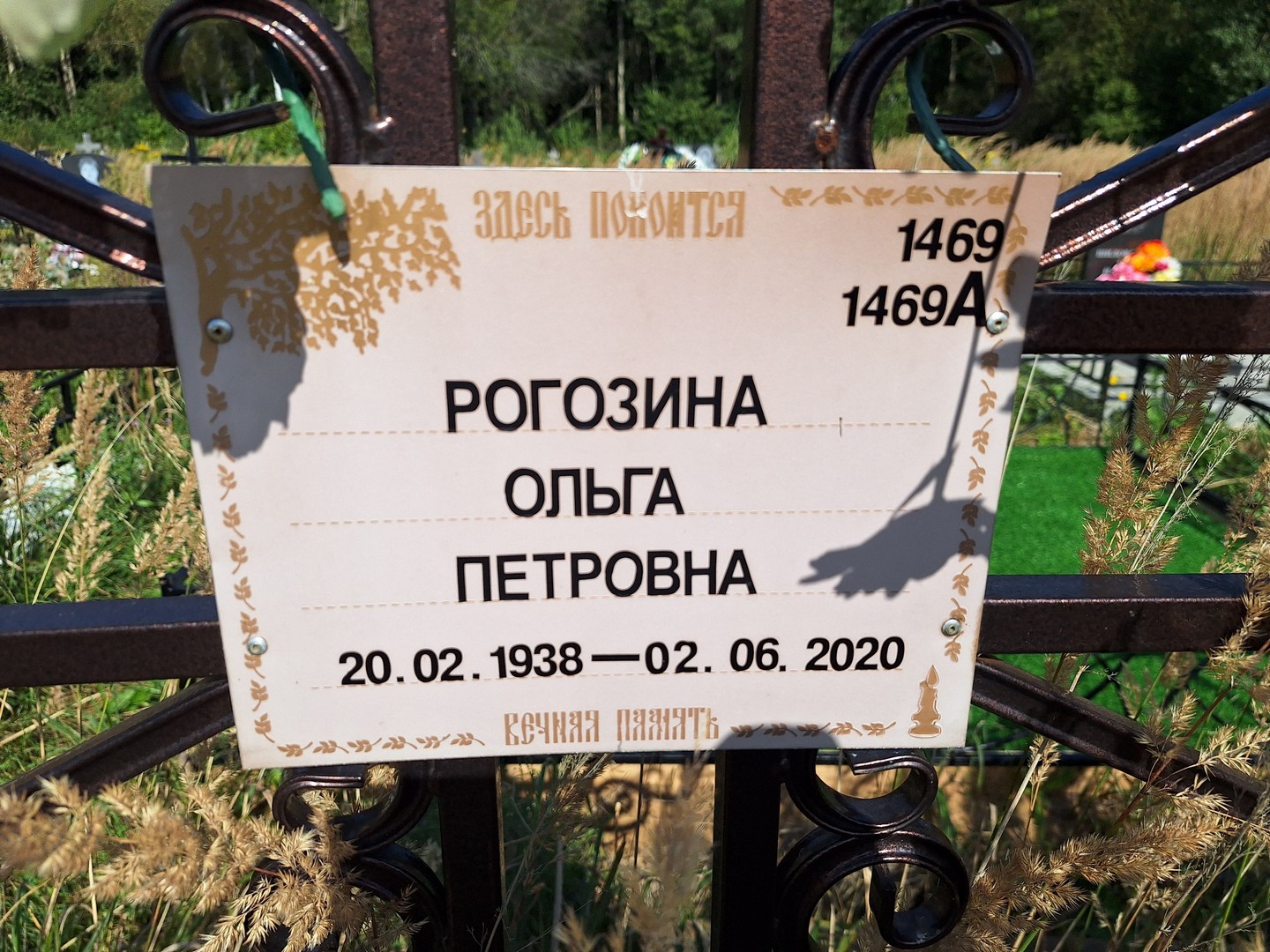 Рогозина