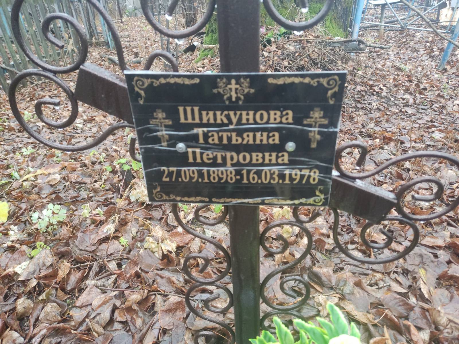 Шикунова Татьяна Петровна