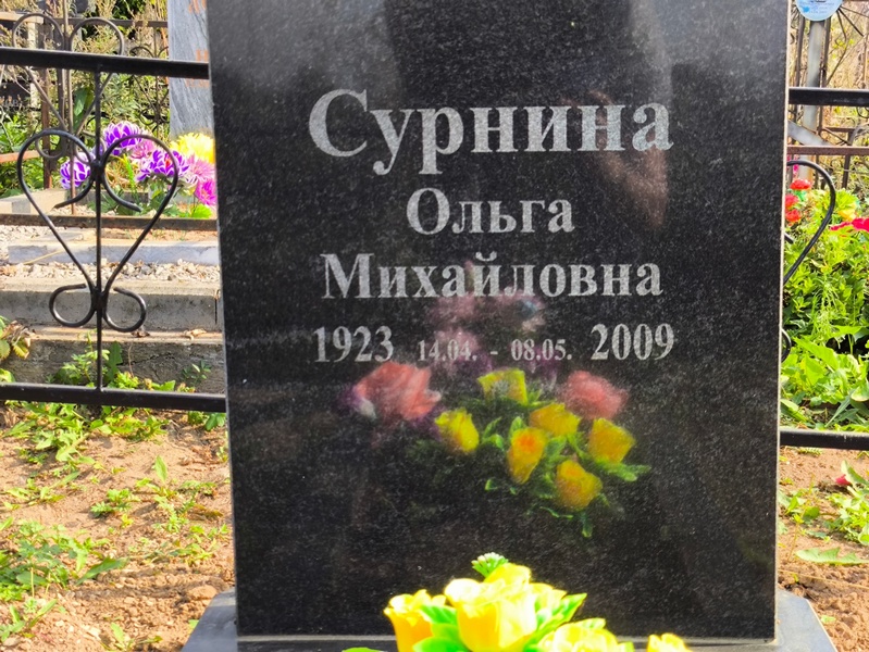 Сурнина