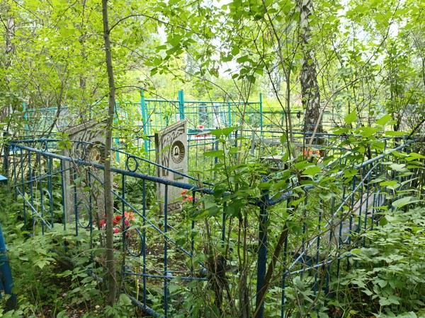 Яковлев Виктор Геннадьевич