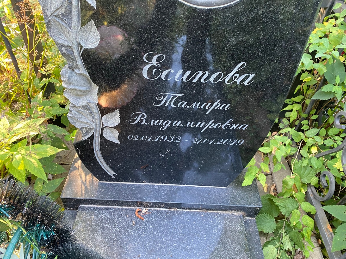 Есипова