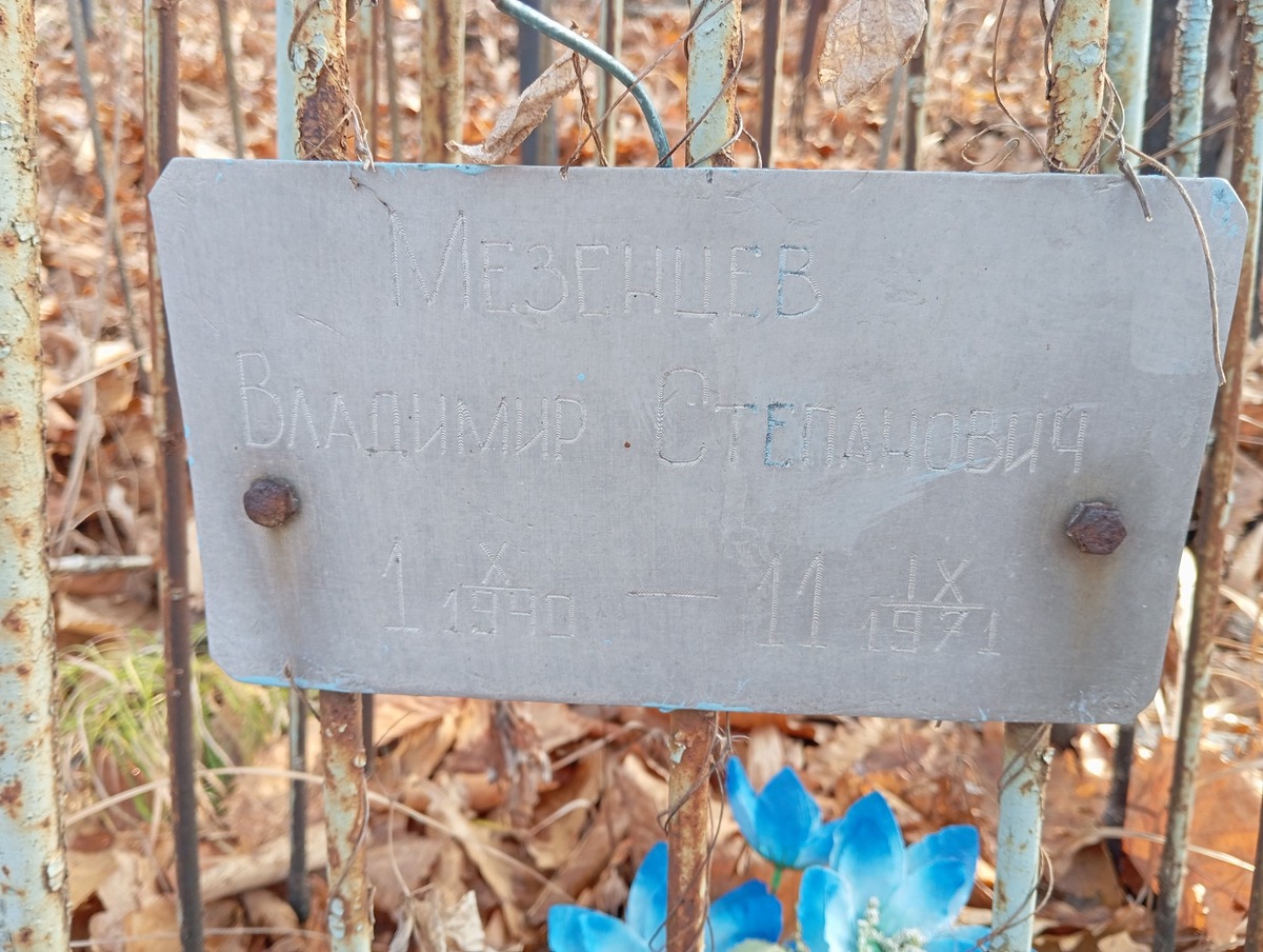 Мезенцев Владимир Степанович