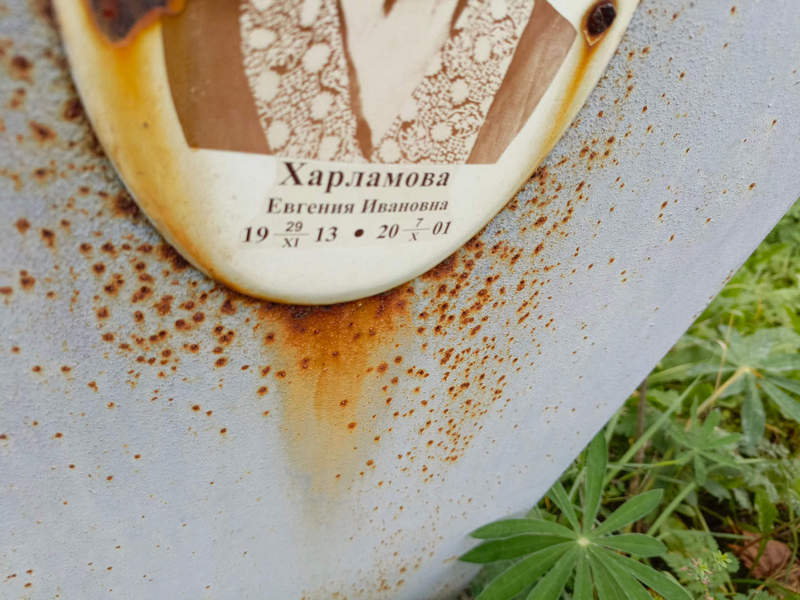Харламова Евгения Ивановна