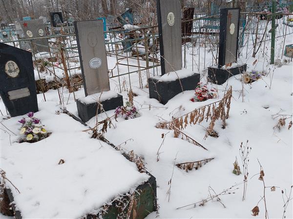 Новиков Николай Дмитриевич