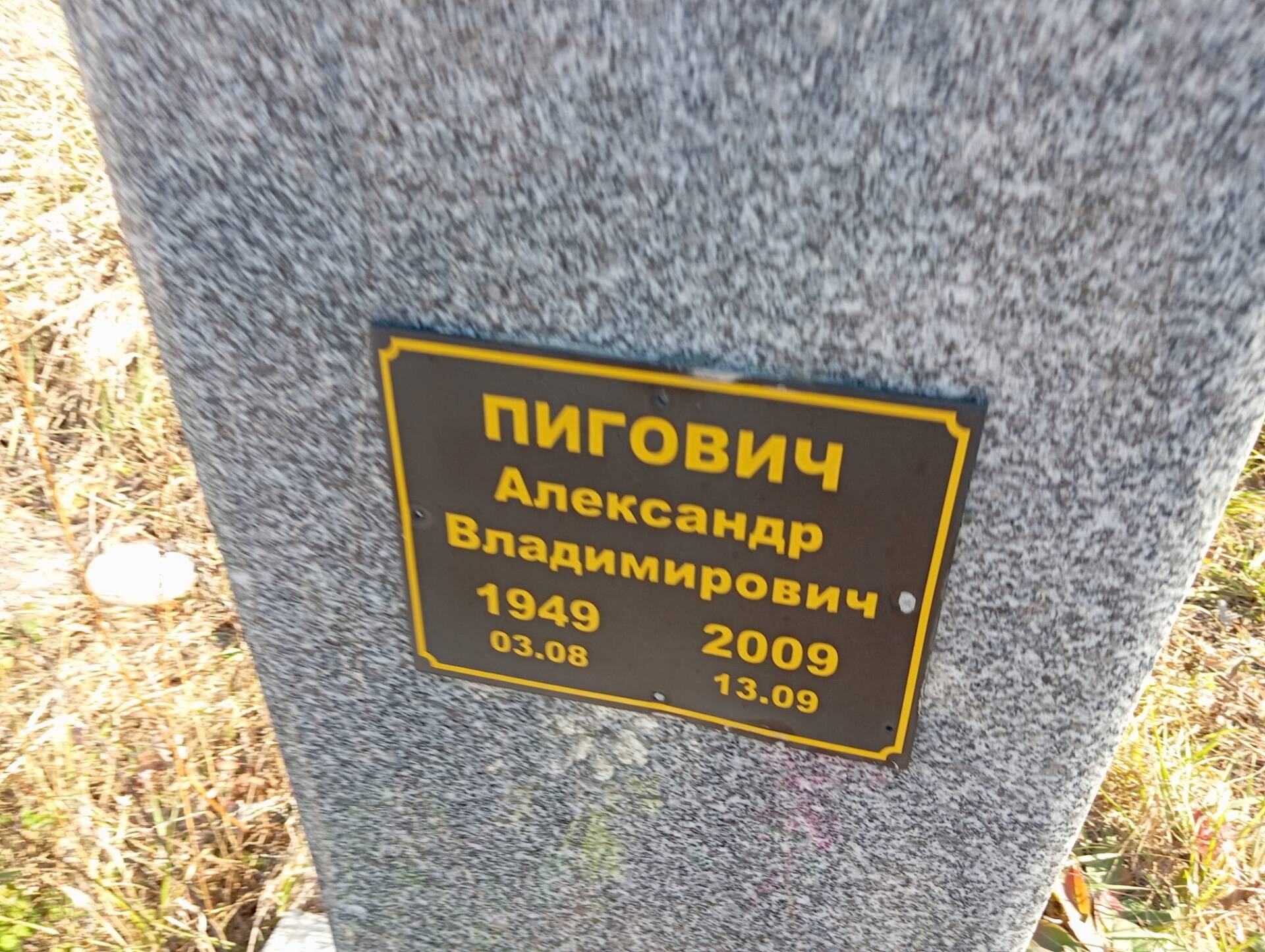 Пигович Александр Владимирович