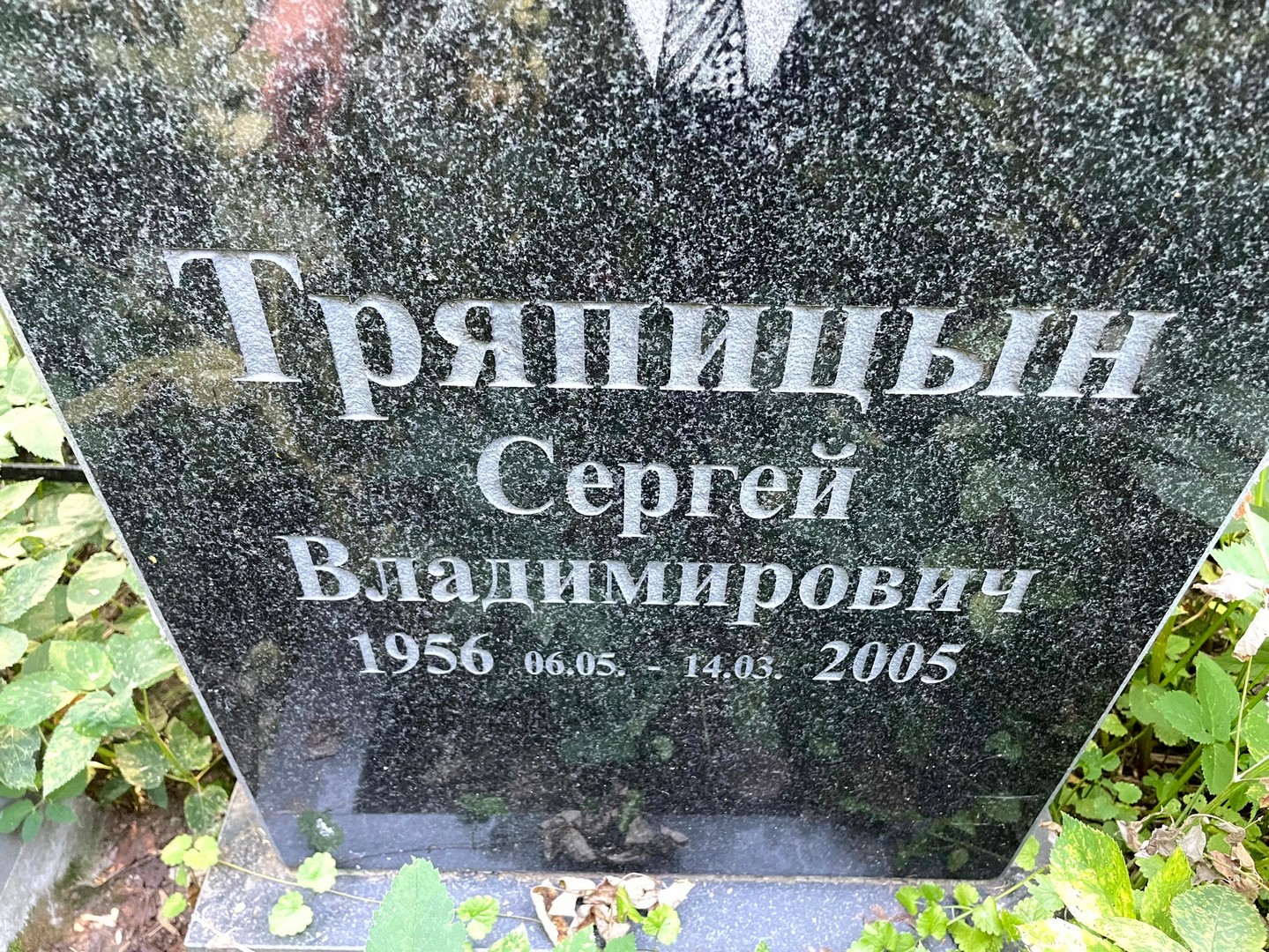 Тряпицын