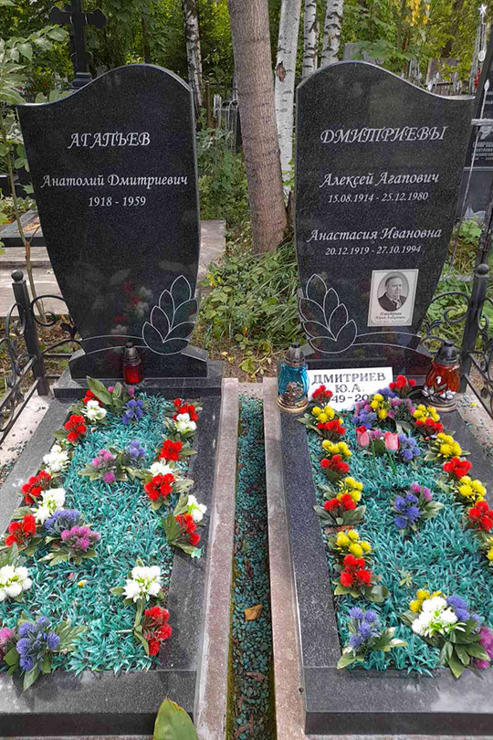 Дмитриев Юрий Алексеевич
