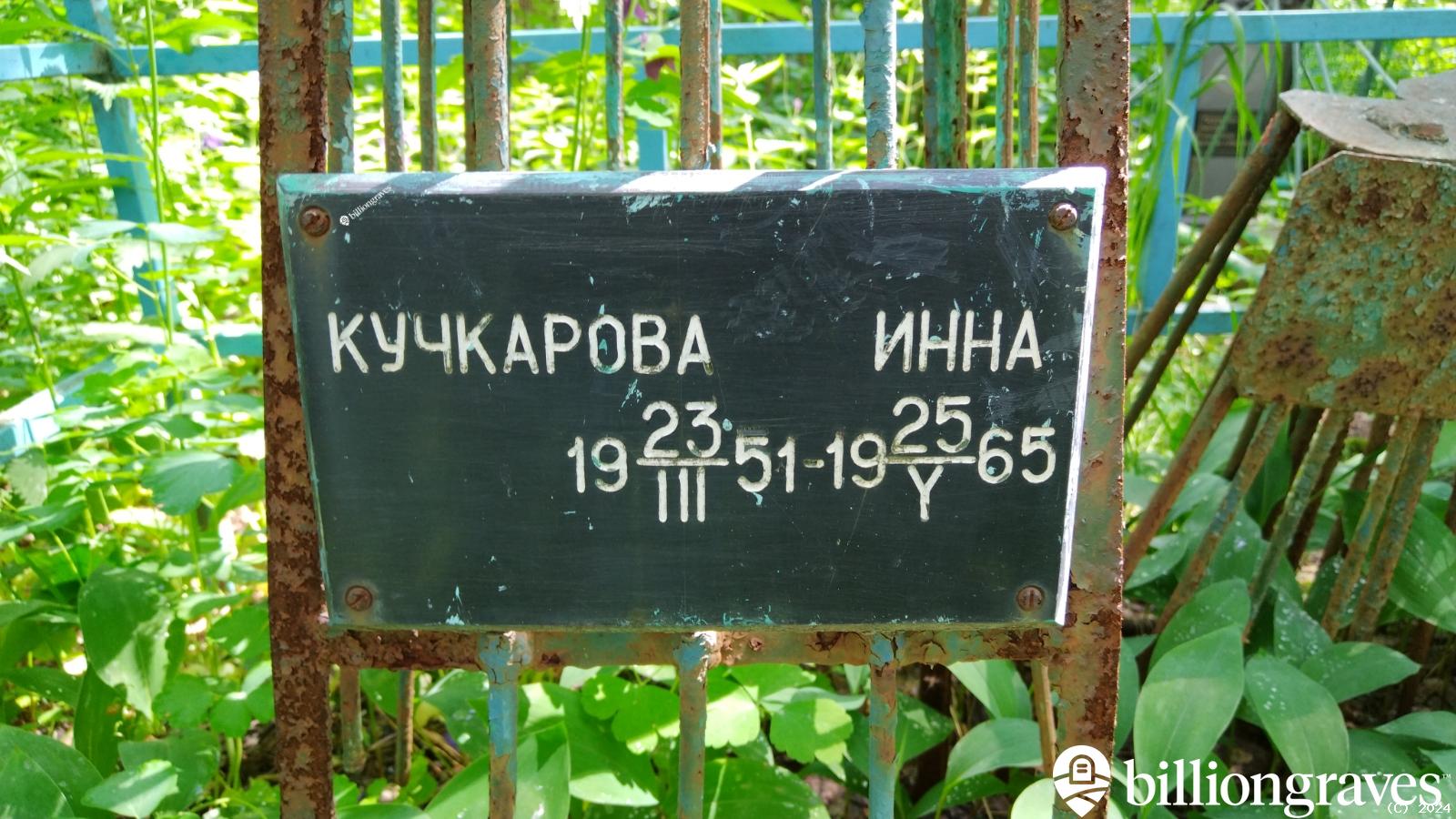 Кучкарова Инна