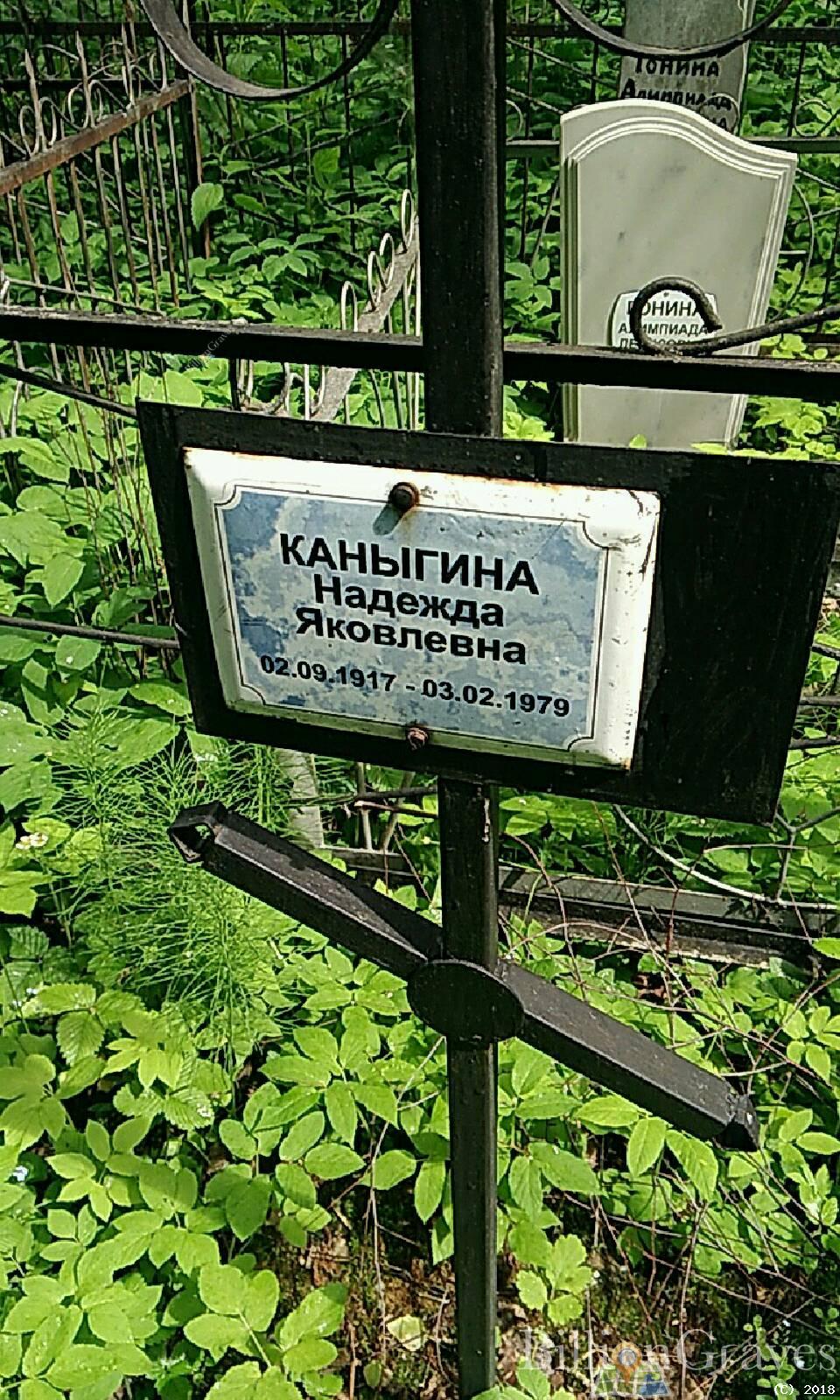 каныгин василий семенович