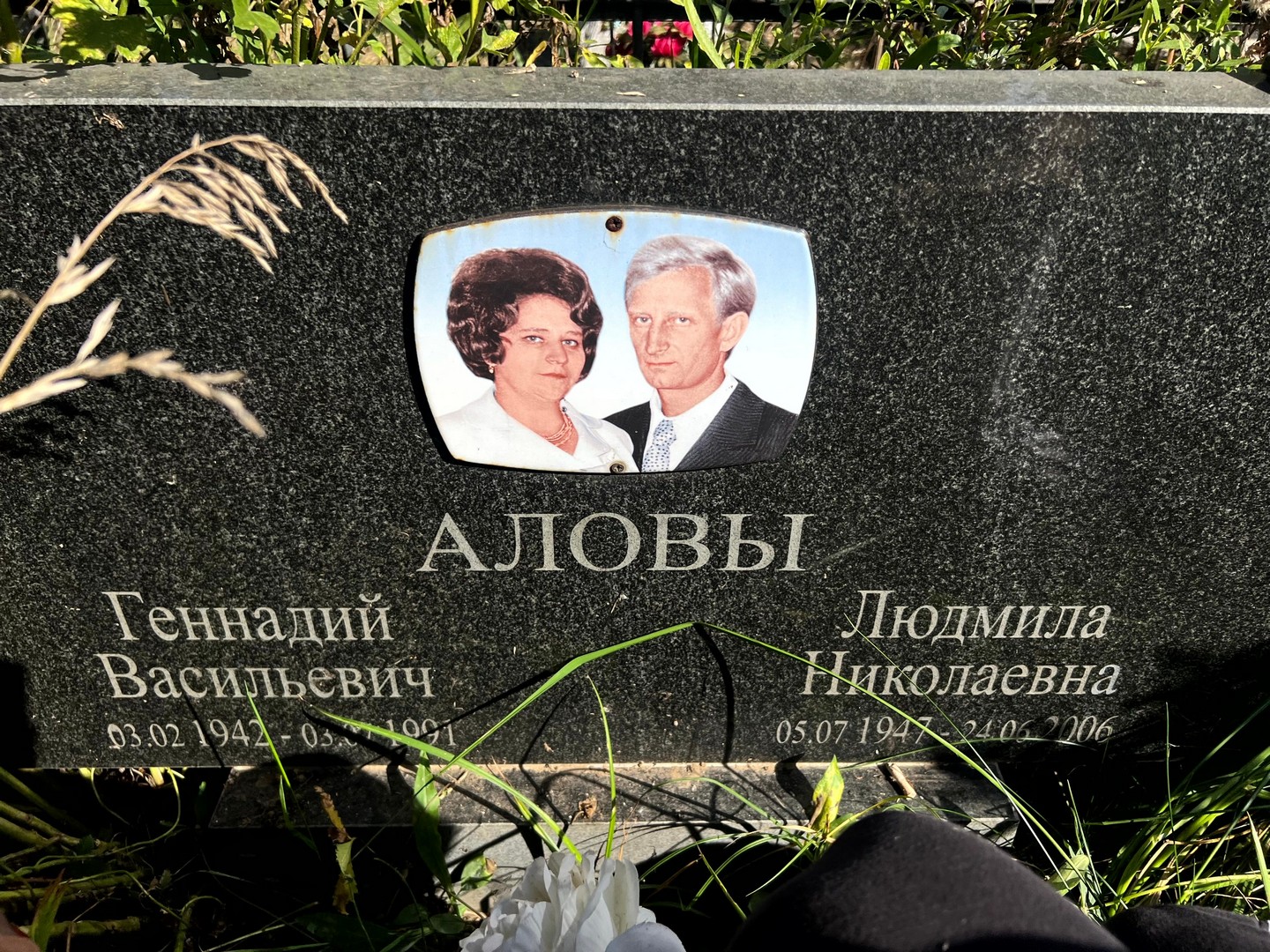 Алов