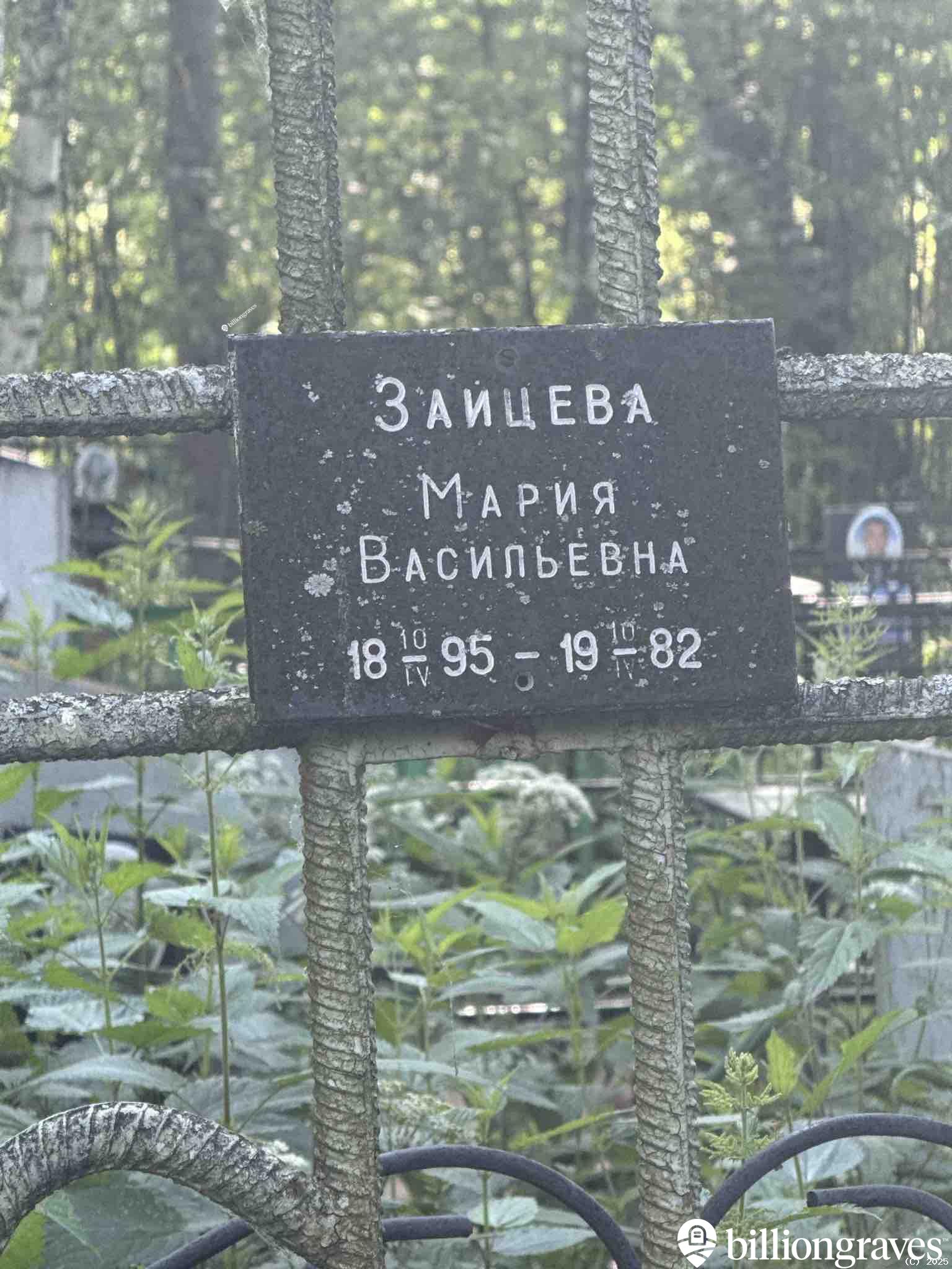 Зайцева Мария Васильевна