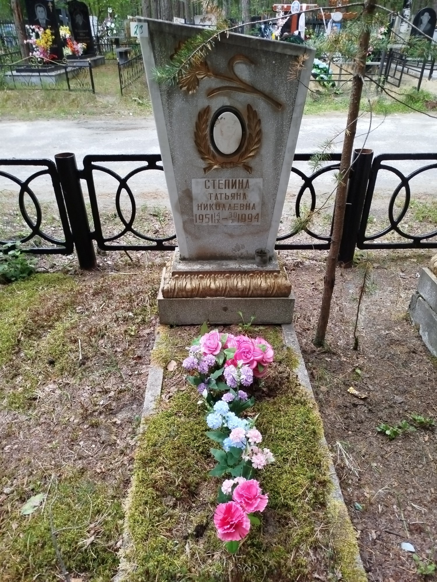 Степина Татьяна Николаевна
