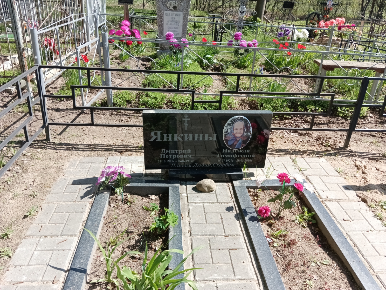 Янкин Дмитрий Петрович