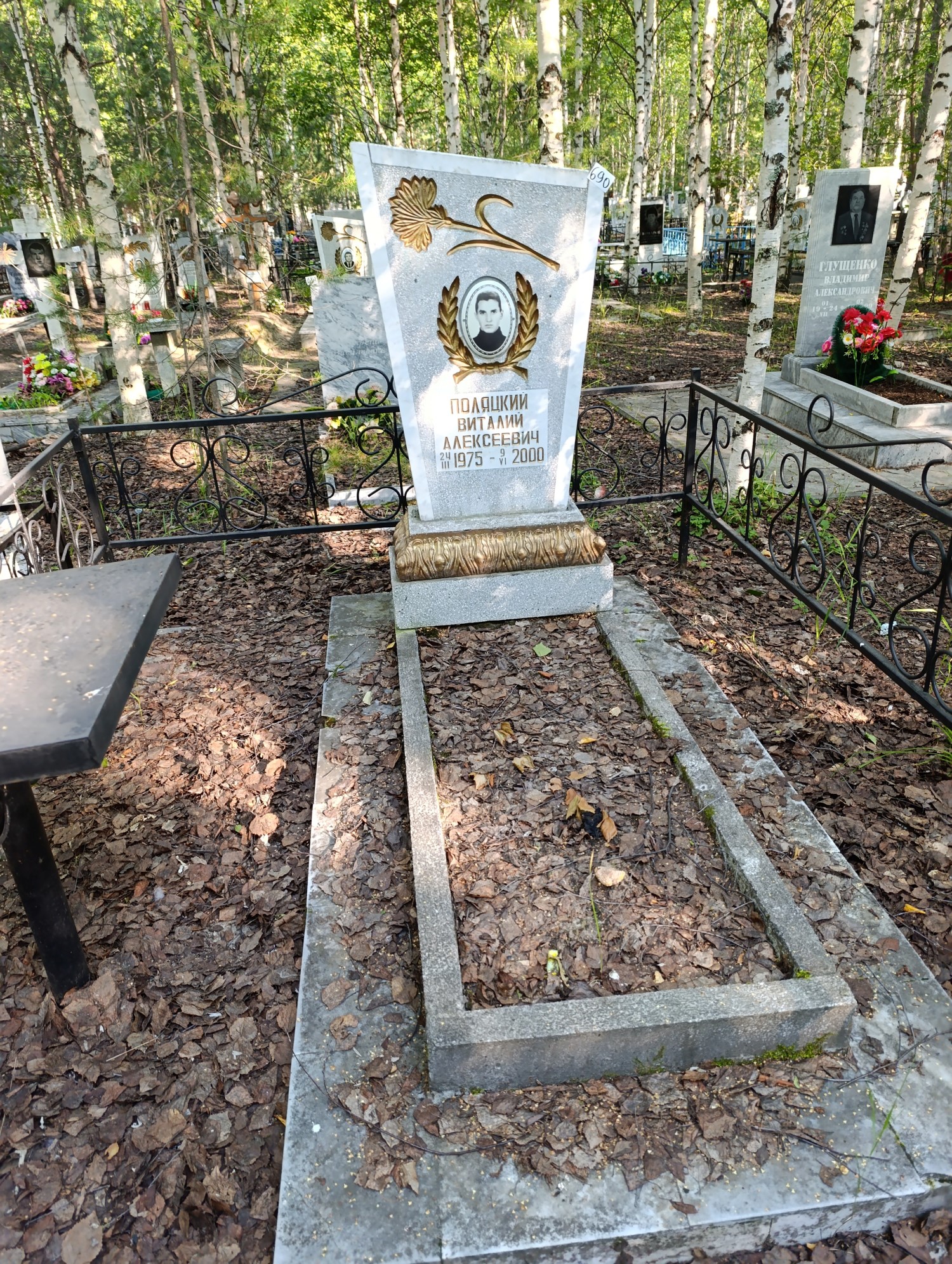 Поляцкий Виталий Алексеевич