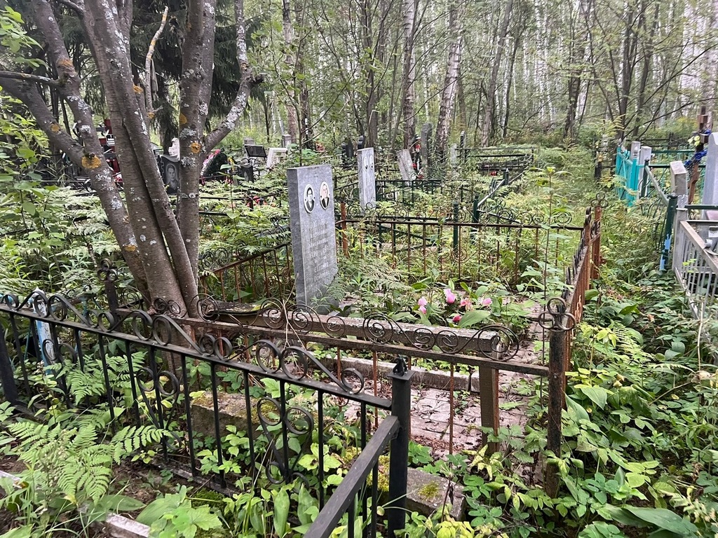 Ионов Александр Михайлович