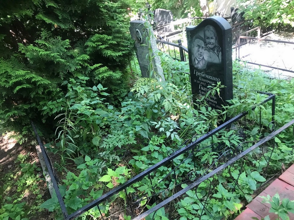 Голубев Александр Федорович