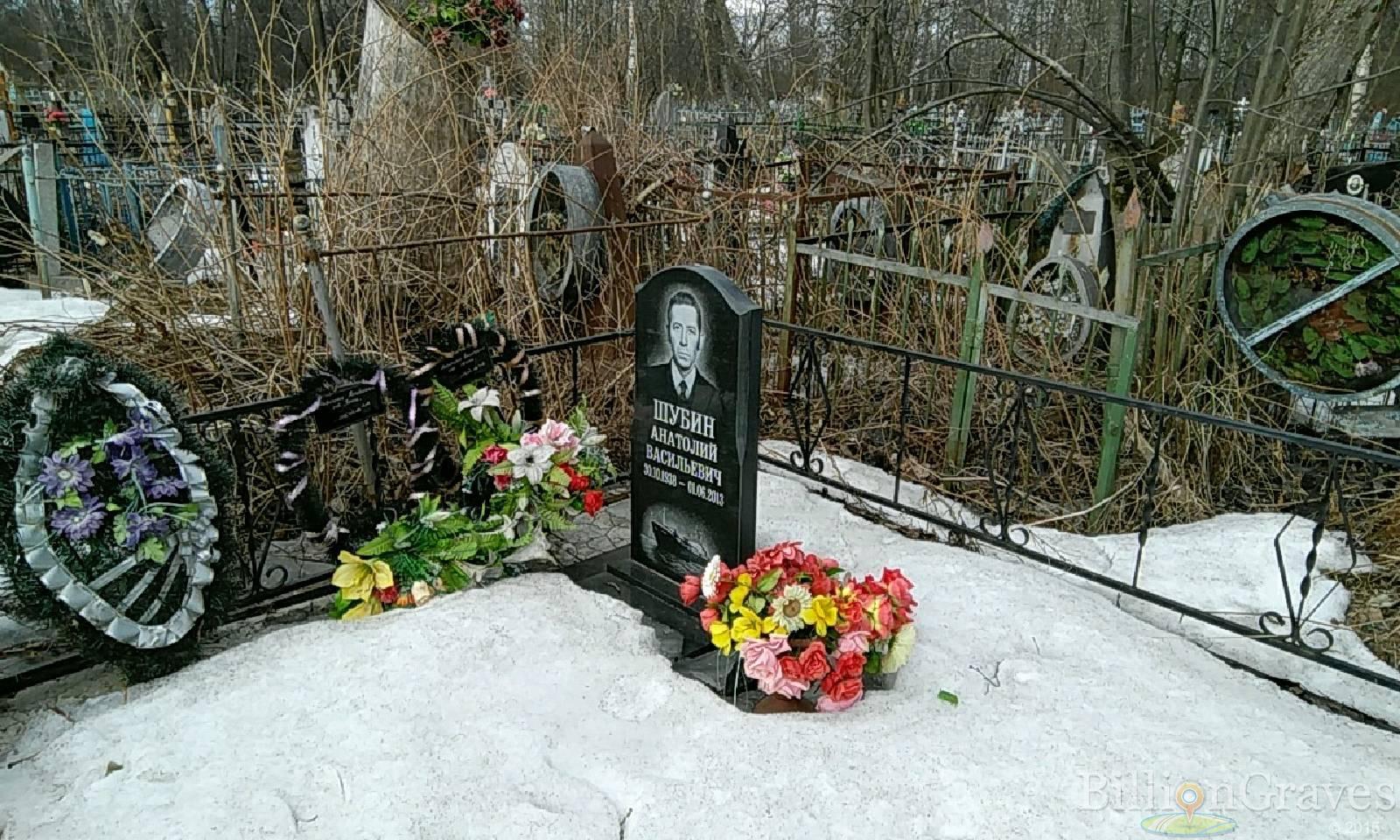 шубин анатолий васильевич