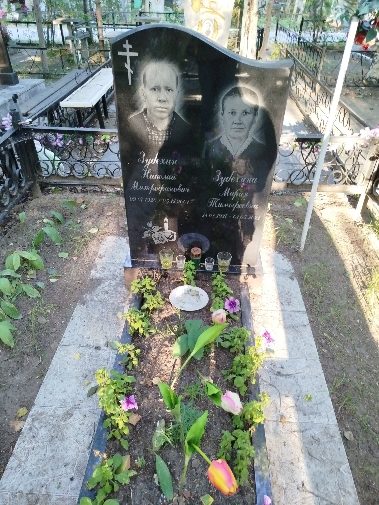 Зубехин Николай Митрофанович