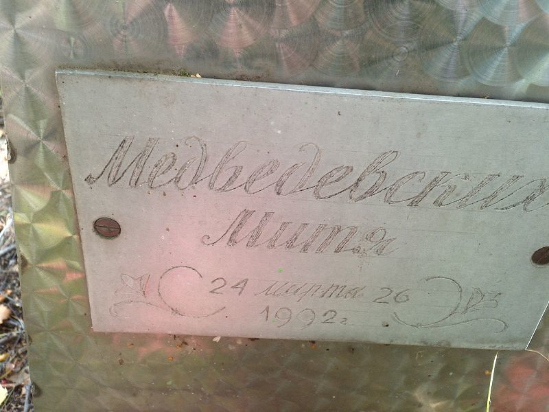 Митя Медведевских