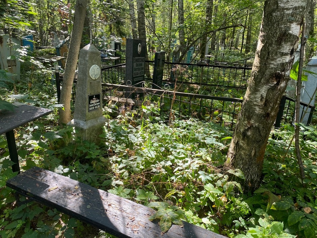Калашникова Елизавета Дмитриевна