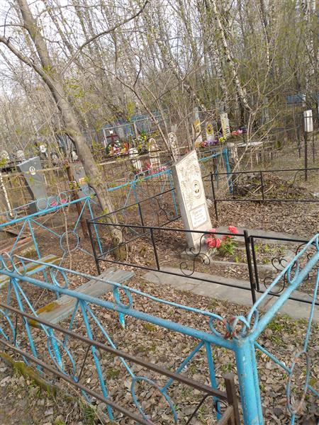 Метелкин Анатолий Васильевич
