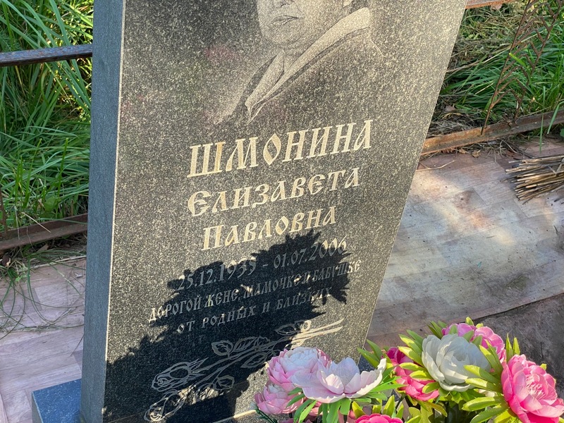 Шмонина