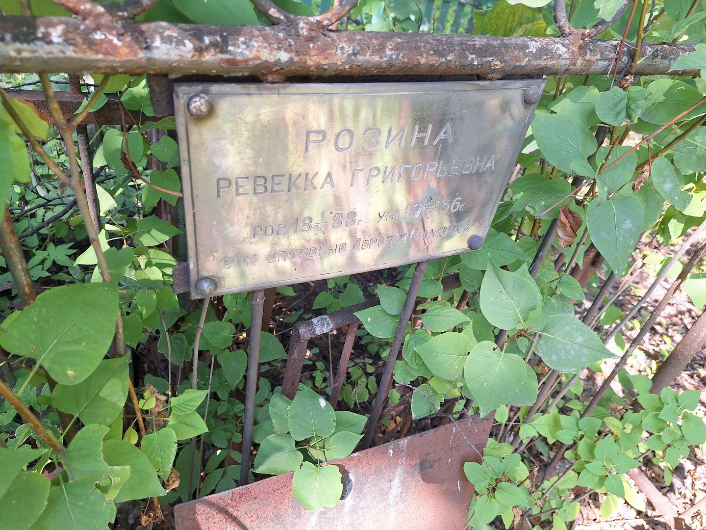 Ревекка Розина Григорьевна