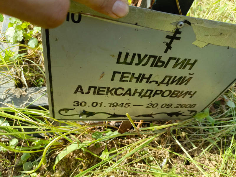 Шульгин