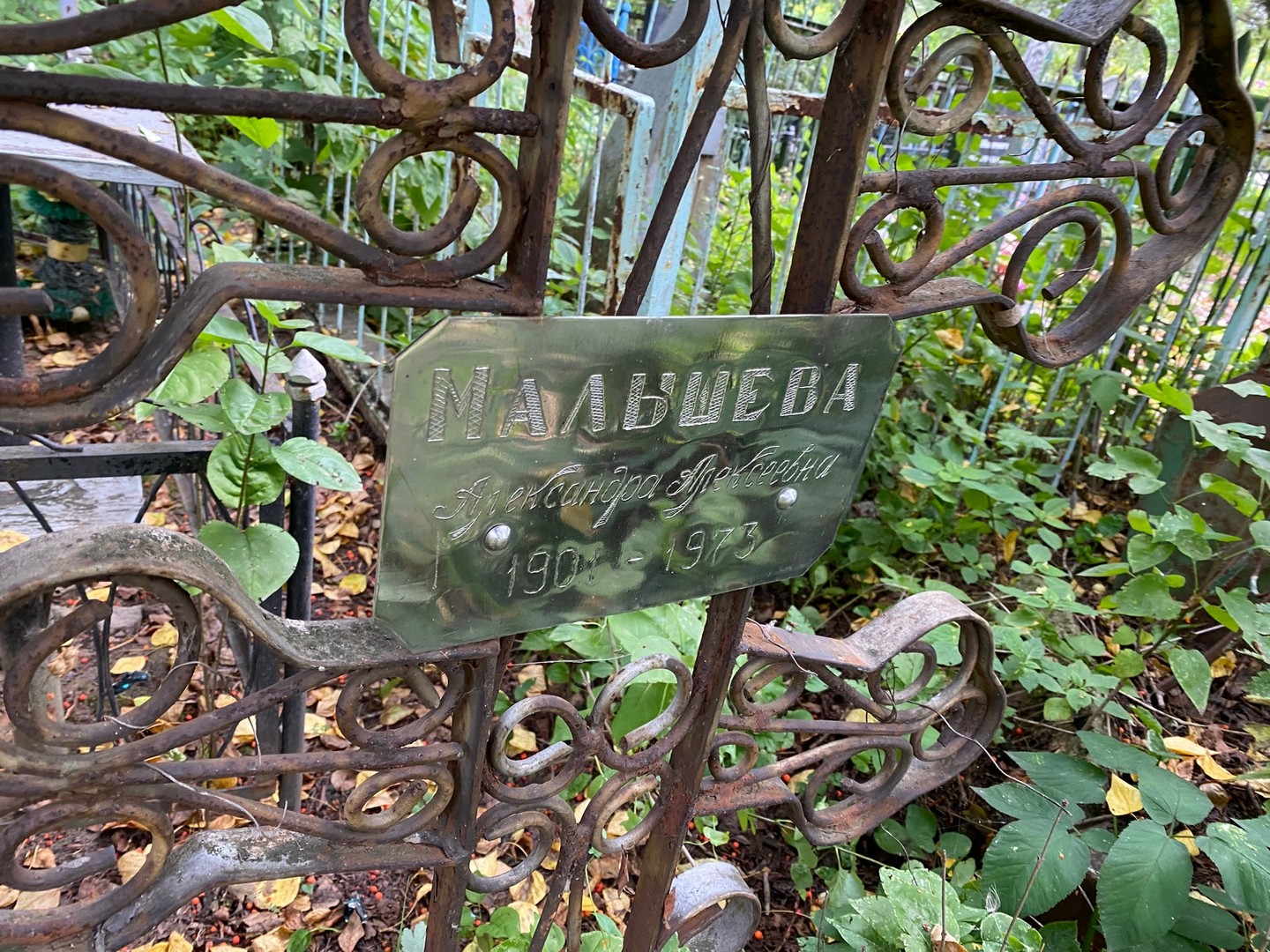 Мальшева Александра Алексеевна