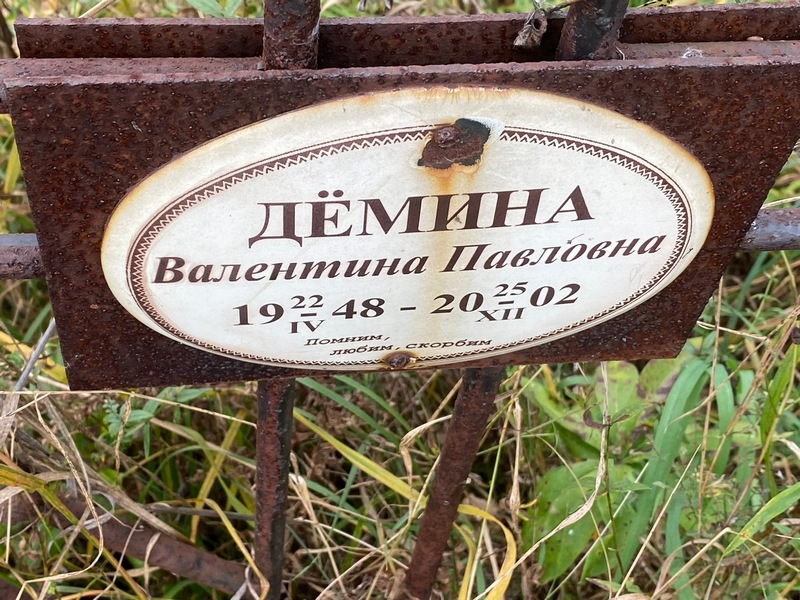 Демина
