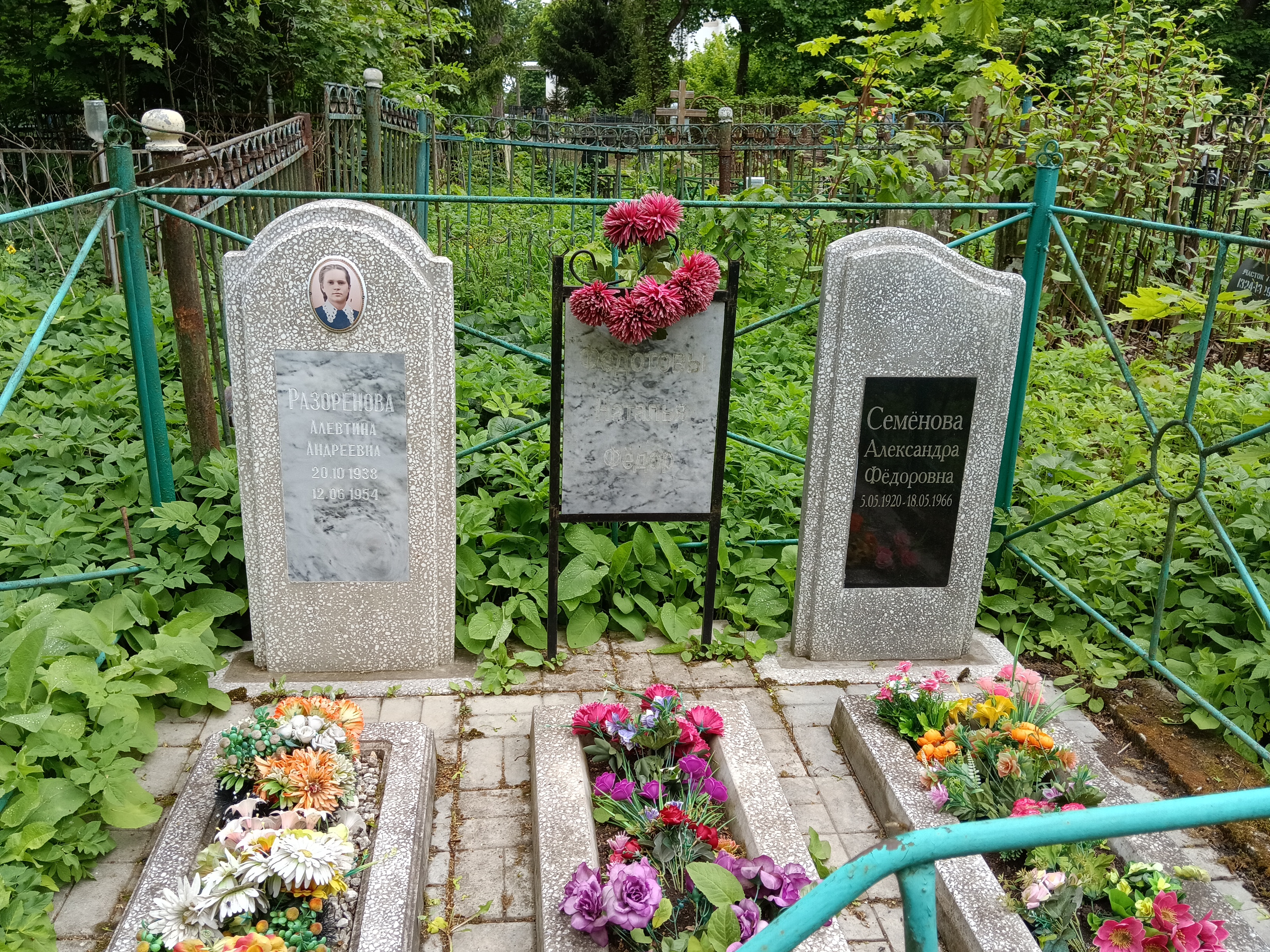 Разорёнова Алевтина Андреевна