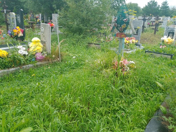 Шитов Николай Прокопьевич