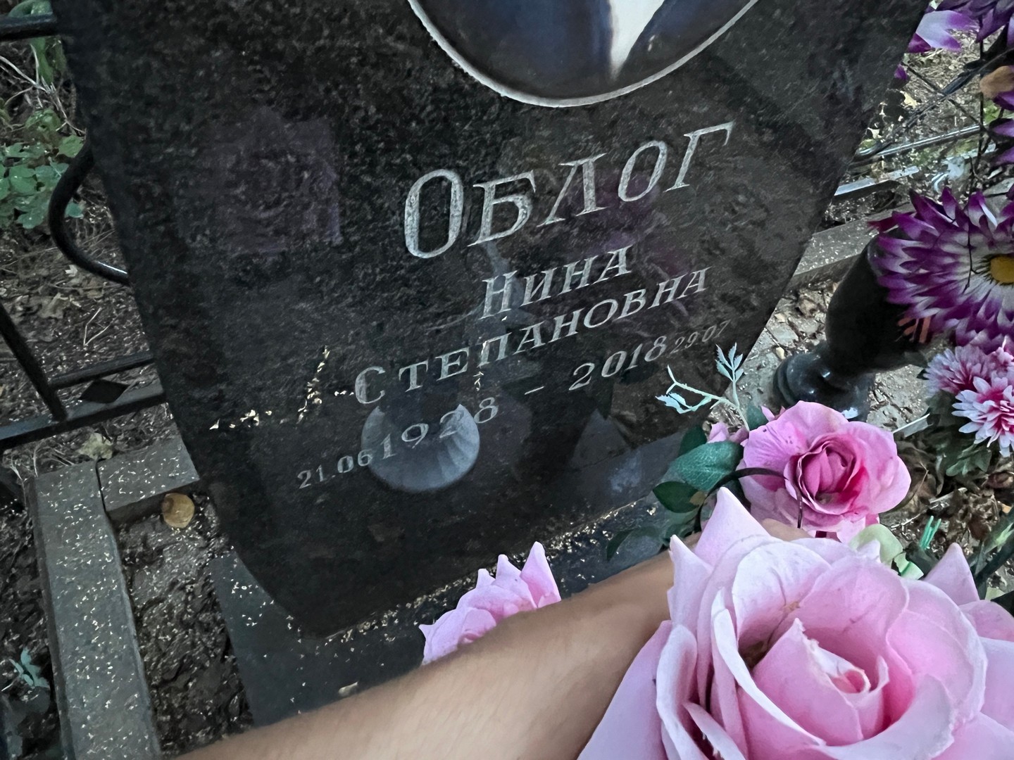 Облог