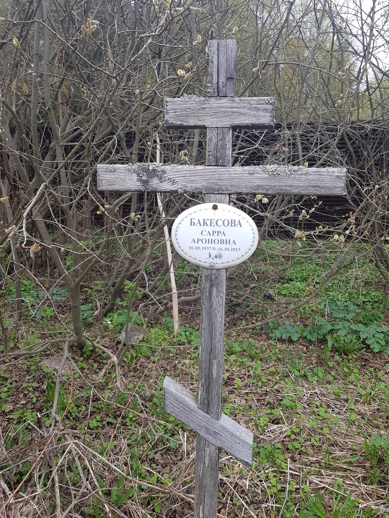 Бакесова Сарра Ароновна