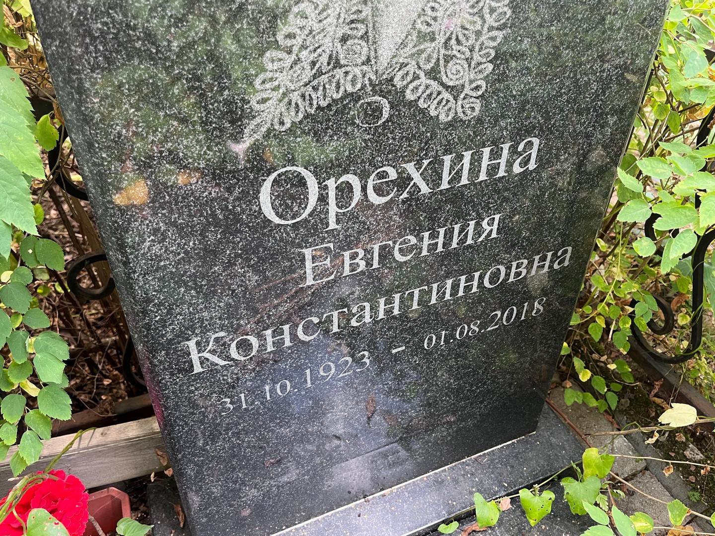 Орехина Евгения Константиновна