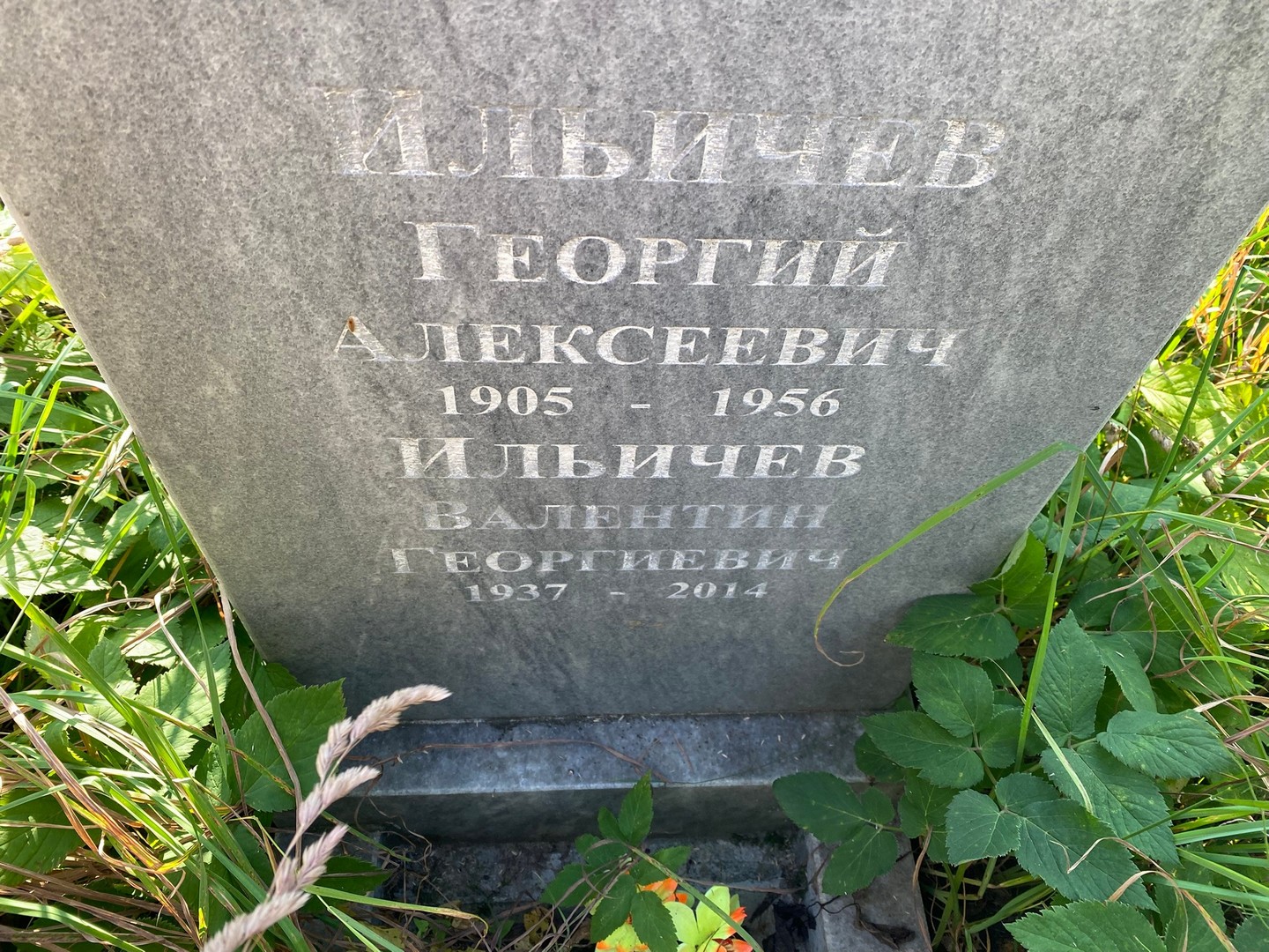 Ильичев